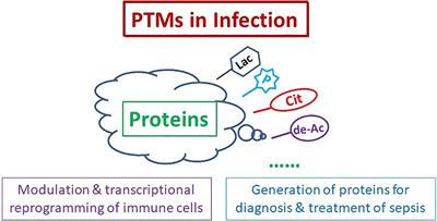 Editorial: Targeting Protein Post-Translational Modifications (PTMs) for Diagnosis and Treatment of Sepsis